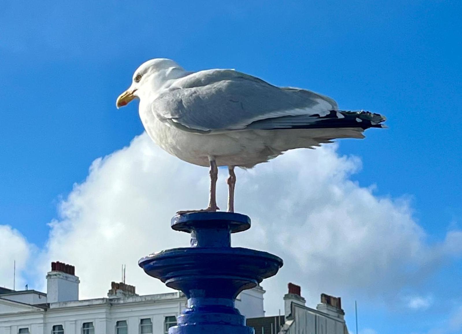 "The Parlour" Seafront Apartment Eastbourne Luaran gambar